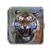 Tabachera clasica - DON Wild Animals (20)