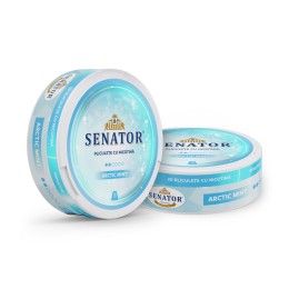 Pliculete nicotina Senator - Arctic Mint (10 mg)
