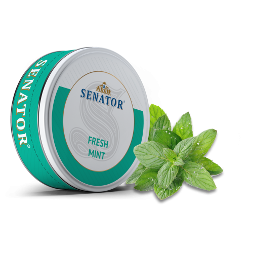 Pliculete cu nicotina Senator - Fresh Mint