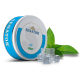 Pliculete cu nicotina Senator - Ice Mint