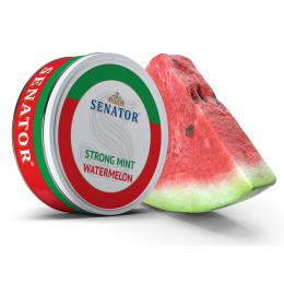 Pliculete cu nicotina Senator - STRONG Mint Watermelon