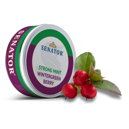 Pliculete cu nicotina Senator - STRONG Mint Wintergreen Berry