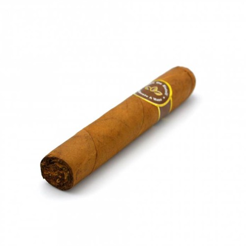 Oro De Esteli - Connecticut Magnum (10)