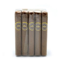 Oro De Esteli - Connecticut Robusto Grande (10)