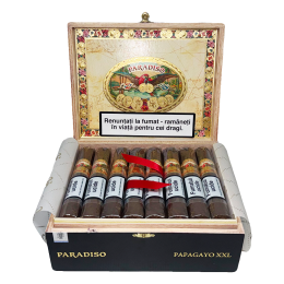 Paradiso Papagayo XXL (24)