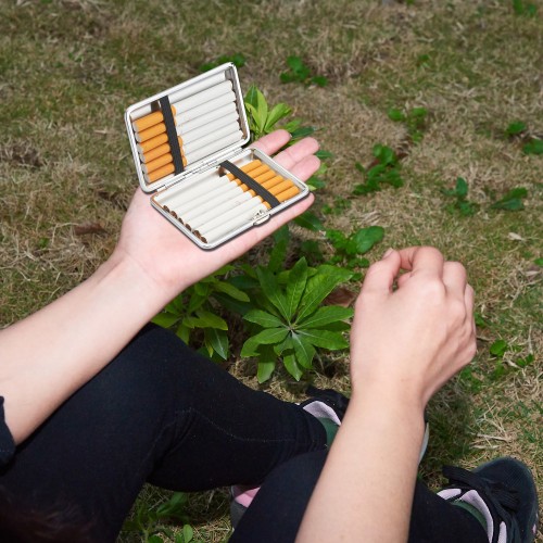 Tabachera Champ - clasica Small Shiny HQ (12)