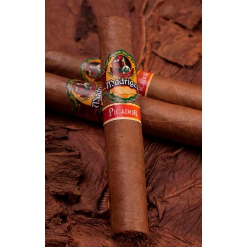 Tigari de foi Santa Clara Madrigal - Picador Robusto Butt (10)