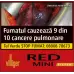 Tigari de foi cu filtru Villiger - Red Mini (10)